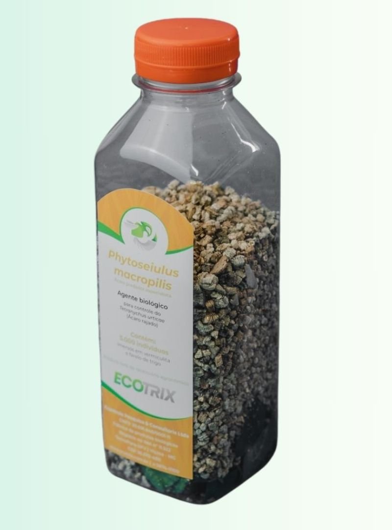 Phytoseiulus macropils (1)
